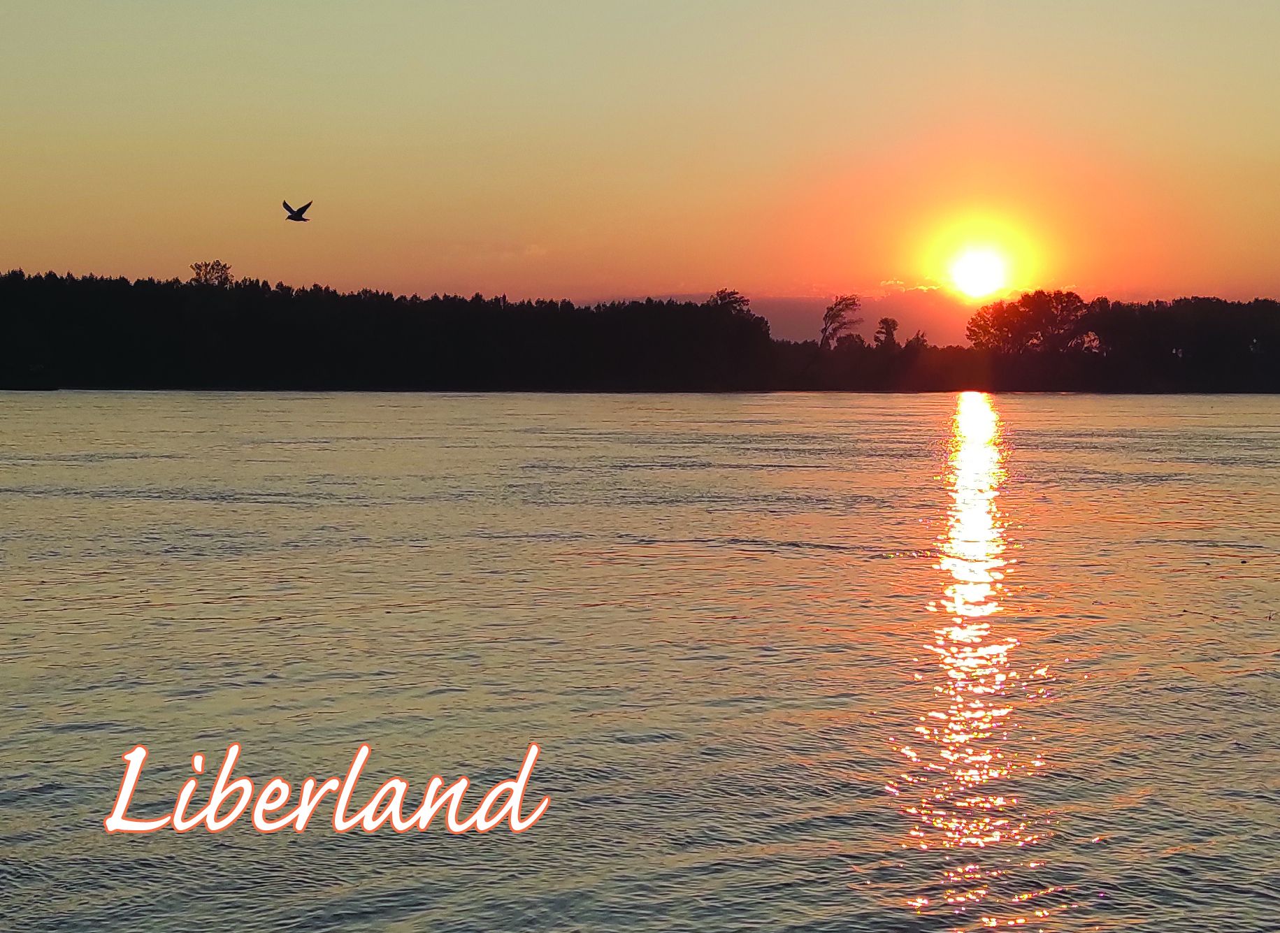 View from Liberland at sunrise over the Danube